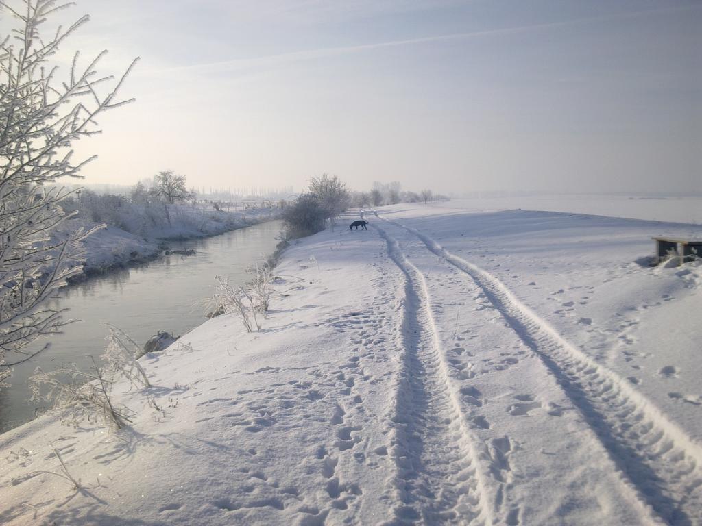 Fewo-Thueringer-Becken Vehra エクステリア 写真